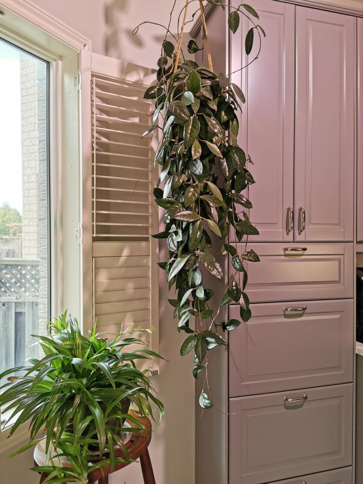 4 Bedroom 3 Washroom Charming Home In Markham With Warm Cozy Vibe Esterno foto